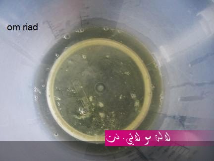 لالة مولاتي.نت lalamoulati.net